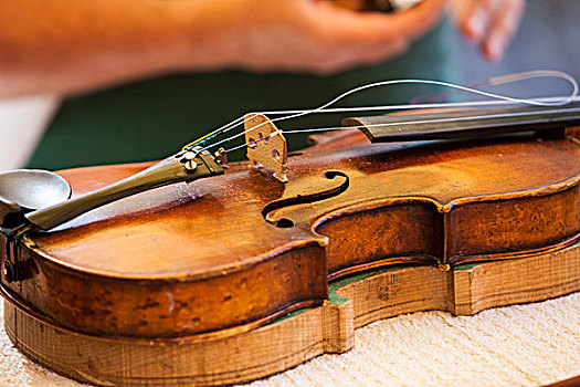 小提琴工匠,小提琴,锡菲尔,乡村,提洛尔,奥地利