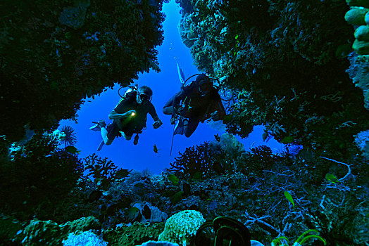 潜水,洞穴,四王群岛,西巴布亚,印度尼西亚,亚洲