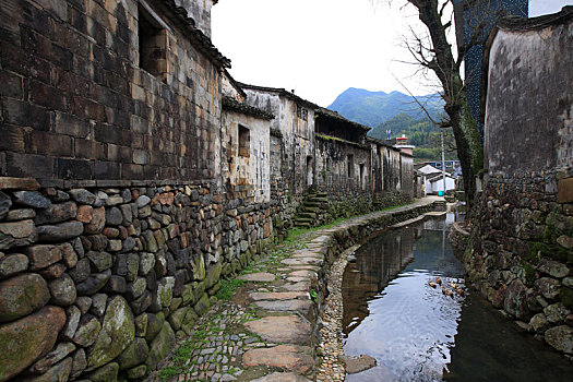 古村,石头,房子,鹅卵石,道路,古树