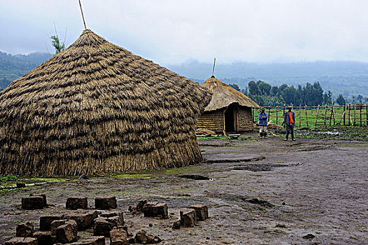 卢旺达,区域,小屋,土地