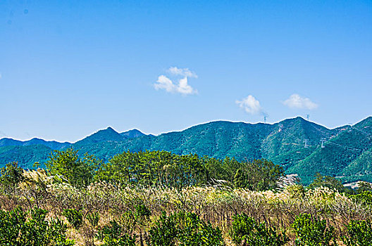 田园秋色