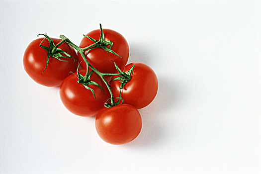 成熟,西红柿茎,特写