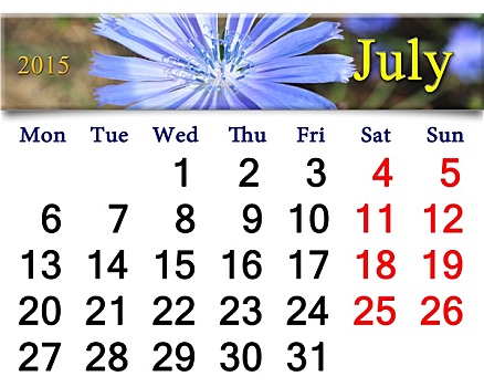 日程,七月,花,菊苣属