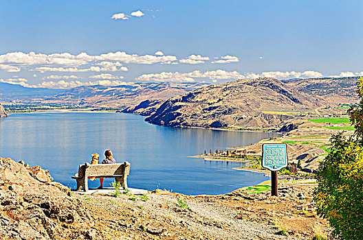 女人,狗,坐,长椅,远眺,高尔夫球场,靠近,不列颠哥伦比亚省,加拿大