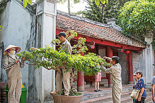 园丁,工作,寺庙,文学作品