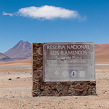 广告牌,国家级保护区,佩特罗,阿塔卡马沙漠,省,安托法加斯塔大区,智利