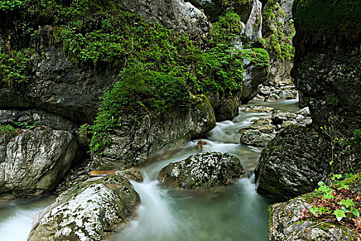 河流,峡谷,上陶恩山国家公园,奥地利