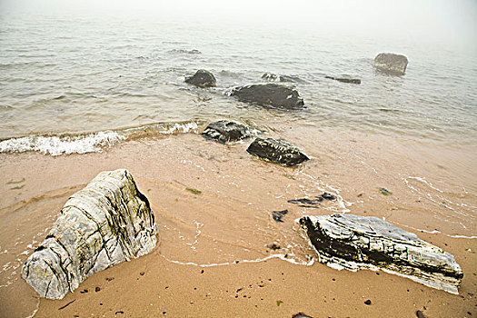 北戴河,沙滩,雾,天气,安静,石头,观赏石,海浪