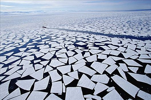 浮冰,海冰,边缘,夏末,海岸警卫队,破冰船,背景,南极