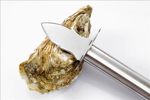 牡蛎,牡蛎刀