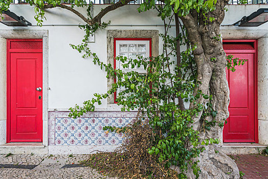 红色木门木窗与白墙和一棵树