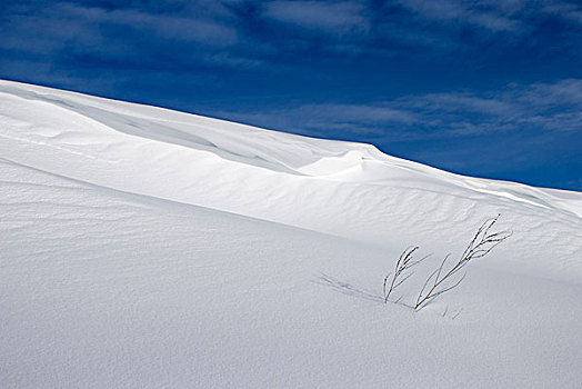 积雪,斜坡,蓝天