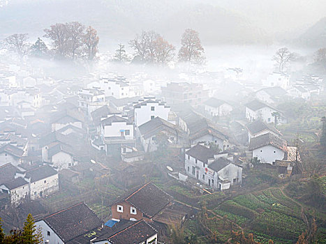 婺源晨雾中的村庄