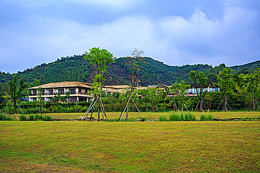 小木屋,草地,房子