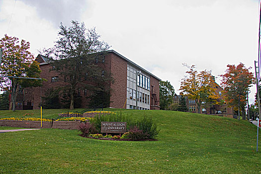 大学,新布兰斯维克,加拿大
