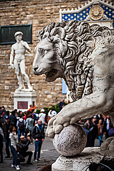 大卫像,狮子,雕塑,市政广场,佛罗伦萨,意大利