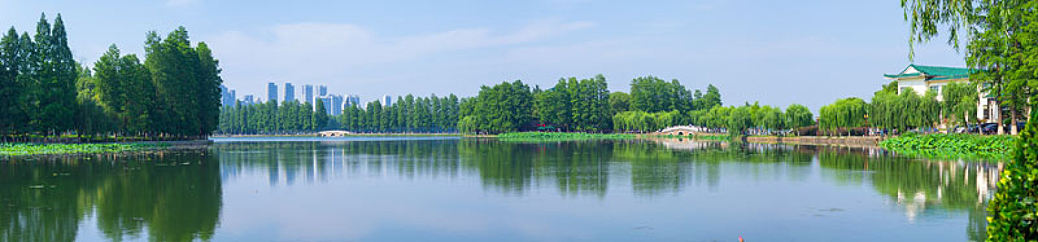 湖北武汉,东湖,风景区,夏日,风光