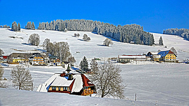 特色,冬季风景,靠近,巴登符腾堡,德国