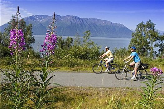 伴侣,骑,自行车,一起,沿岸,小路,靠近,阿拉斯加,特纳甘湾,夏天