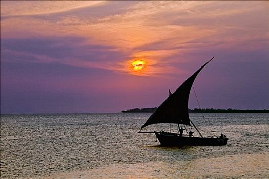 坦桑尼亚,桑给巴尔岛,独桅三角帆船,帆,背影,港口,日落