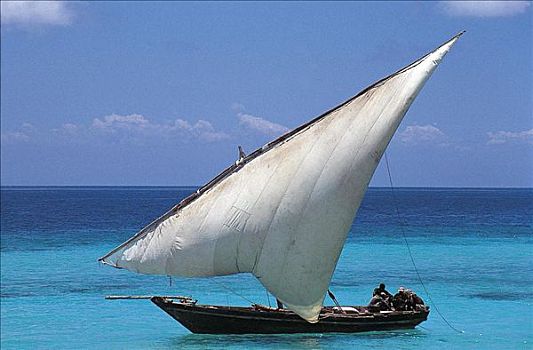 帆船,印度洋,坦桑尼亚,非洲