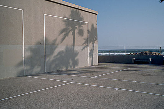 棕榈树,影子,洛杉矶
