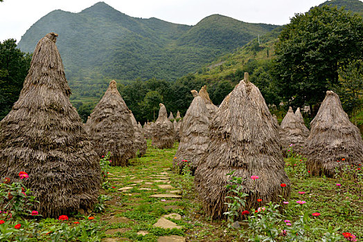 贵州农村危房改造,安居梦,农民住房