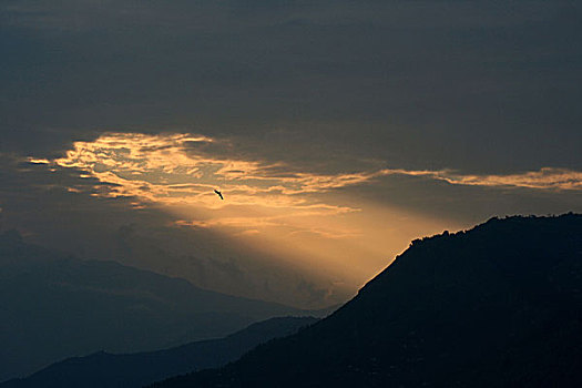 晚间,场景,锡金,山,印度