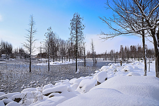 雪景