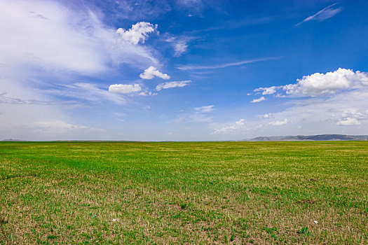 内蒙古鄂尔多斯草原