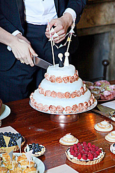 婚礼蛋糕,切削,新郎,新娘