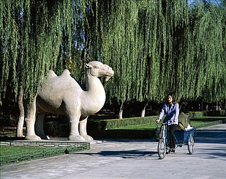 十三陵,神道,石头,骆驼,雕塑,明代,北京,中国