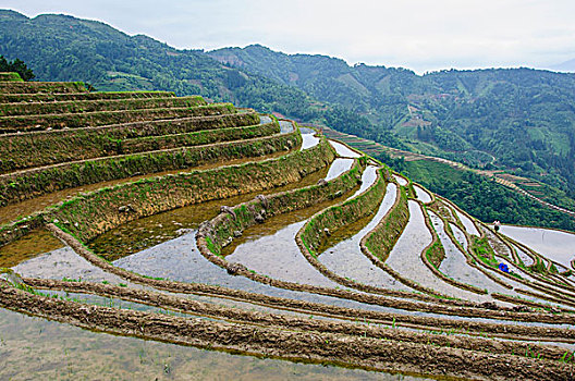 桂林梯田风光