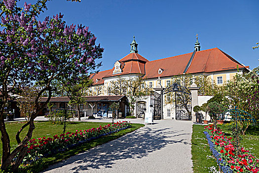 花园,教堂,区域,下奥地利州,欧洲