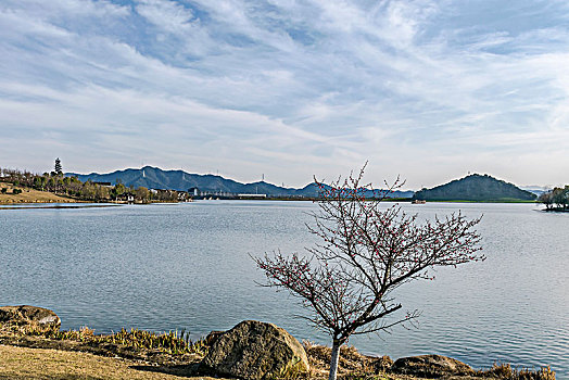 杭州湘湖自然风光