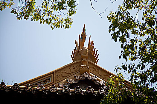 普陀山法雨寺