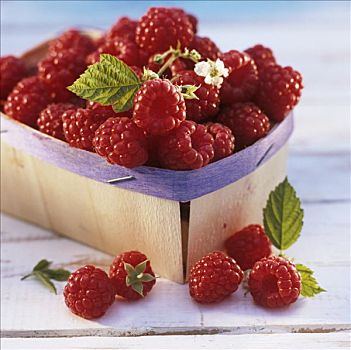 树莓,扁篮