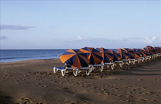 沙滩椅,伞,排列,海滩,干盐湖,早晨