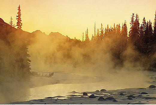 日出,上方,弓河,班芙国家公园,艾伯塔省,加拿大