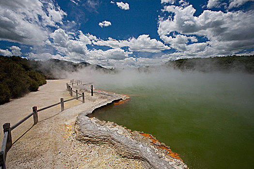 香槟,水池,地热,场所,北岛,新西兰