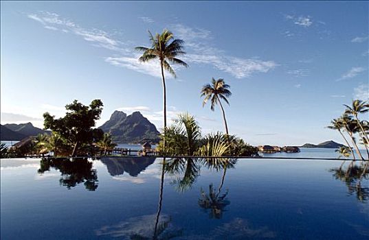玻利尼西亚,棕榈树,靠近,游泳池,蓝色海洋,山峦
