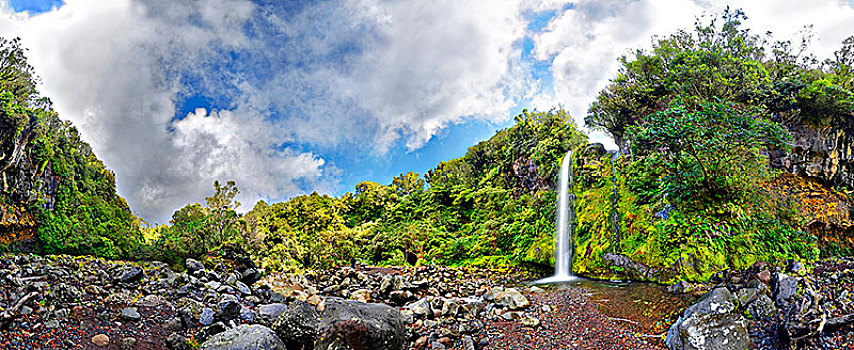 全景,瀑布,中间,热带雨林,塔拉纳基,国家公园,北岛,新西兰,大洋洲