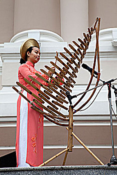 越南,胡志明市,剧院,传统音乐,音乐会,女人,演奏,竹子,木琴