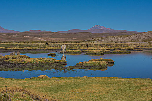 玻利维亚乌尤尼山区