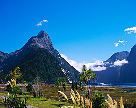 山脉,海洋,米尔福德峡湾,南岛,新西兰