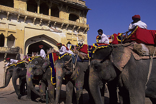 印度,拉贾斯坦邦,斋浦尔,琥珀堡,大象,看象人