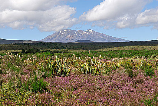 鲁阿佩胡火山,风景,公路,北岛,新西兰