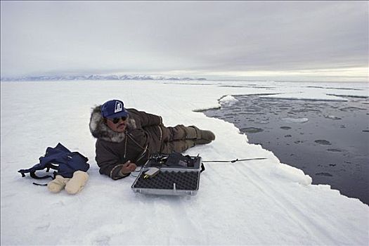 因纽特人,研究人员,纪录,独角鲸,一角鲸,北极圈,冰,巴芬岛,加拿大