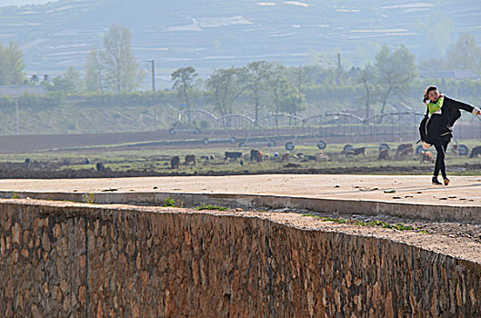 田园景观