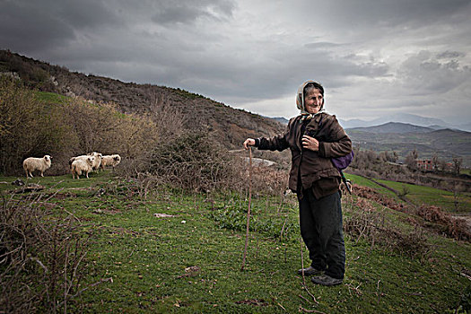 牧羊女,山,阿尔巴尼亚,欧洲